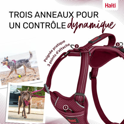 Adjustable anatomical dog harness