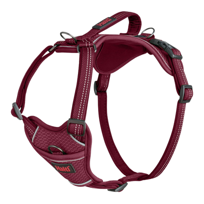 Adjustable anatomical dog harness