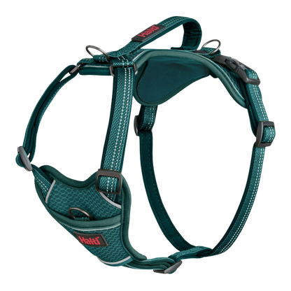 Adjustable anatomical dog harness