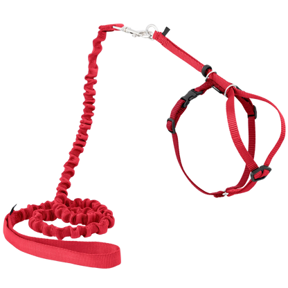 Harnais et laisse Easy Walk® pour chats