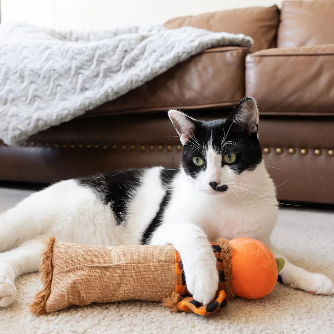 Halloween scarecrow catnip toy for cats