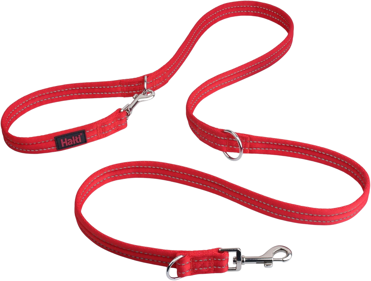 3-Position Dog Training Leash