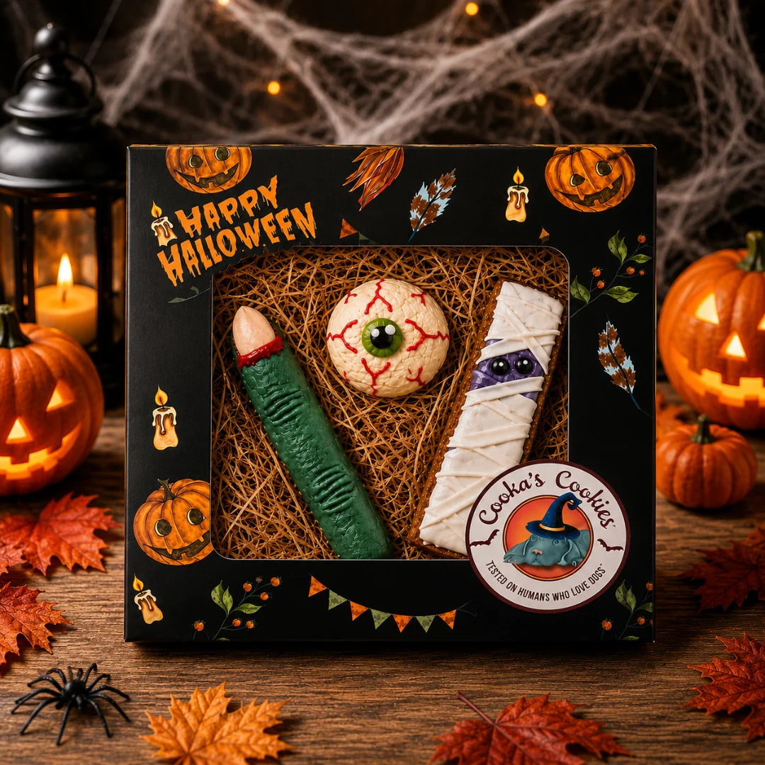 Halloween dog biscuit gift box